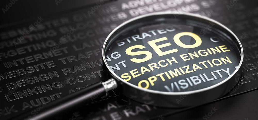 SEO and local visibility services for business growth