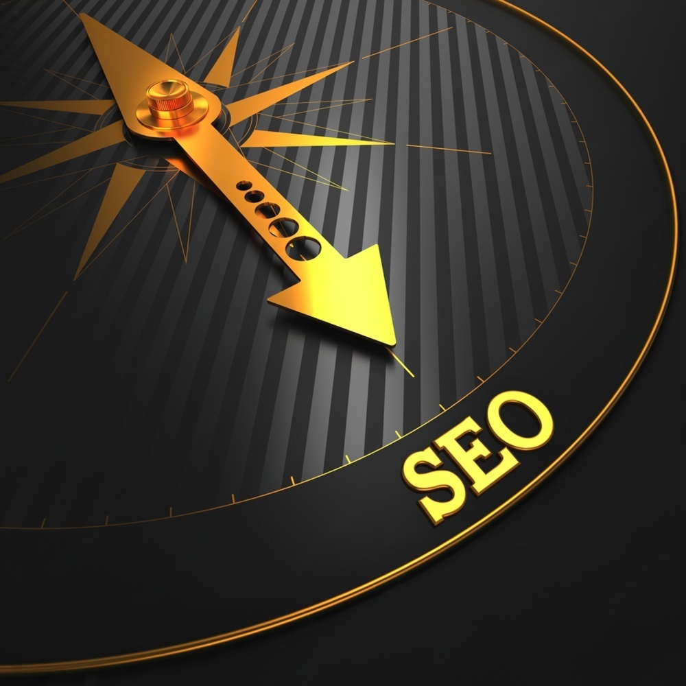 SEO and local visibility support for business growth