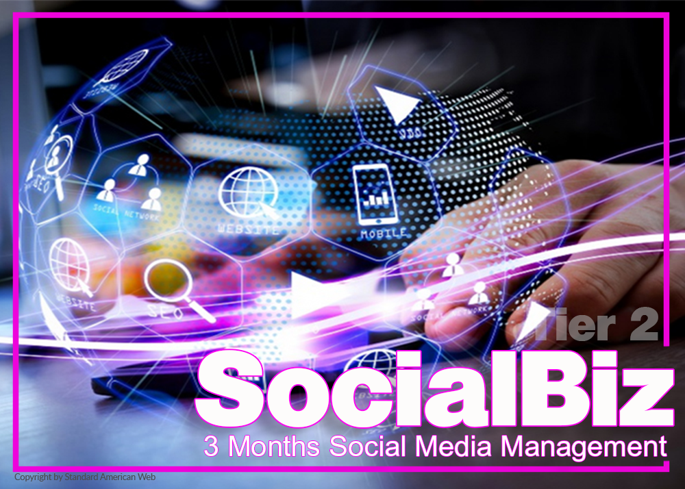 SocialBiz Pro social media support