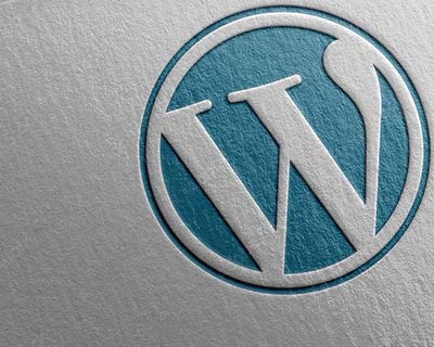 WordPress logo