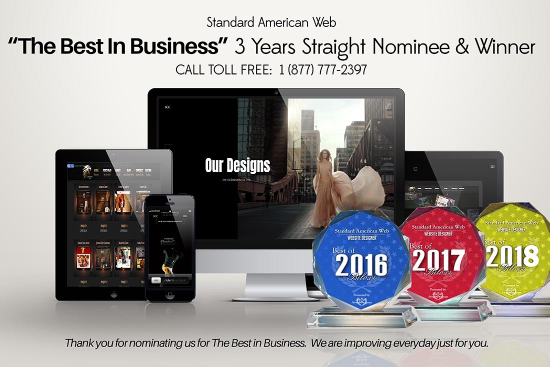 Image of Standard American Web's awards